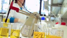 Inerco, la primera spin off que surgió de la Universidad de Sevilla, emplea hoy a más de 350 trabajadores