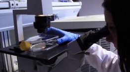 VivaCell Biotechnology, una spin off que espera convertirse en líder en el desarrollo de fármacos cannabionides