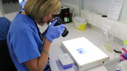 La Subvención Global de Andalucía compromete el 90% de los fondos destinados al crecimiento y la innovación empresarial en Andalucía