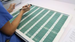 Vircell, I+D andaluza de primer nivel para facilitar la detección de enfermedades infecciosas